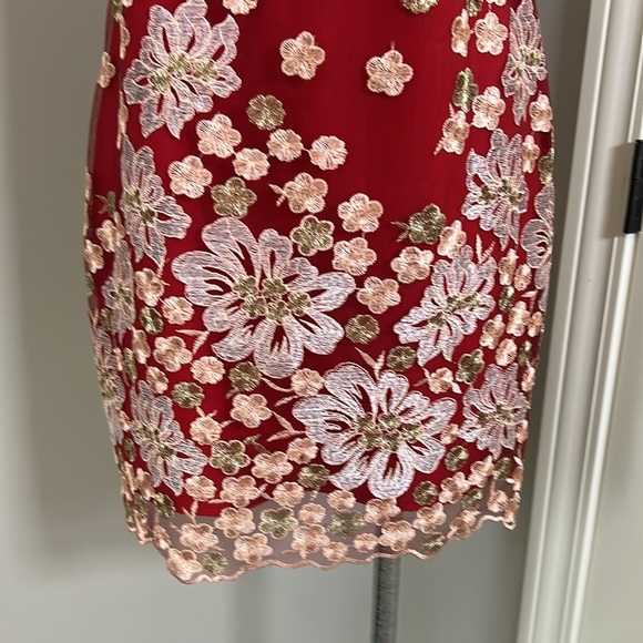 Free People x Backstage Australia Red Floral Dress Embroidered Lace Lined Sz M - Picture 5 of 15